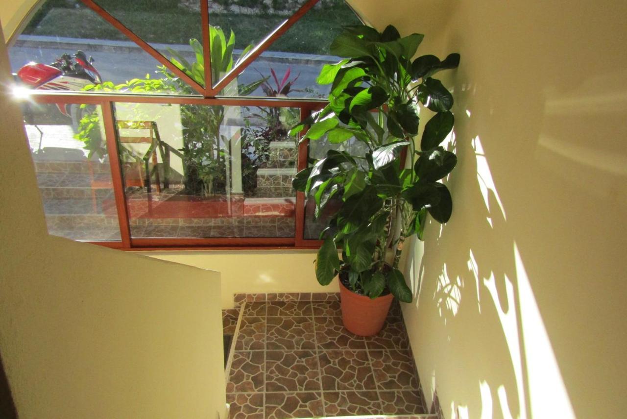 Nicte-Ha Hotel Xpujil Exterior photo